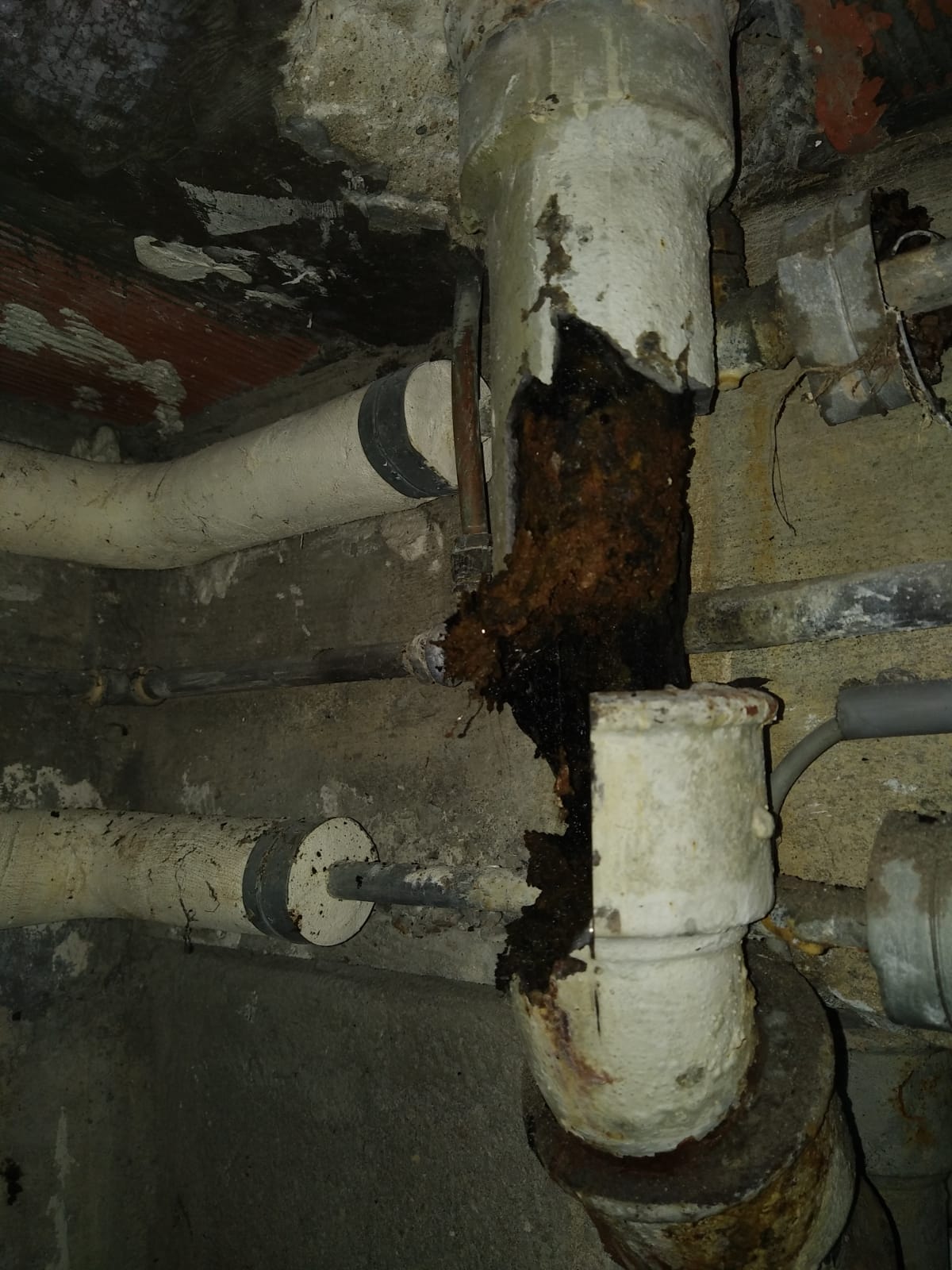 Etat de la colonne EV avant dépose — fuillarde et corrosion active